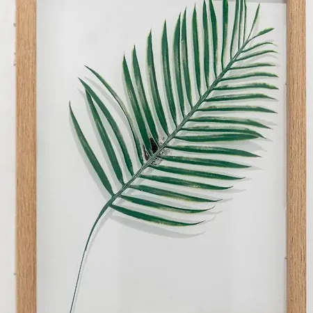 Wonderful In Paradise Appartamento Santa Cruz de Tenerife