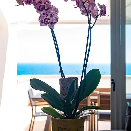 Wonderful In Paradise Appartamento